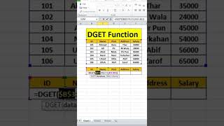 DGET Function in Excel |Extract a Single Value That Matches Criteria