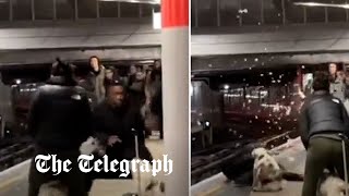 video: Moment man is attacked by ‘XL Bully’ on station platform