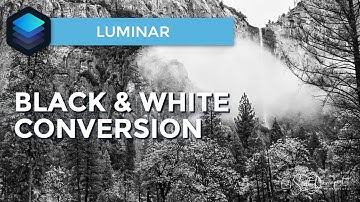 Black And White Conversion In Luminar