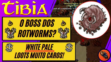 TIBIA WHITE PALE - BOSS DO ROTWORM EM DARASHIA