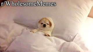 r/WholesomeMemes | me on a friday night