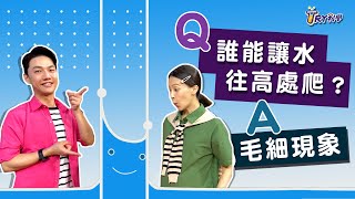 【TRY科學】預告 -   20211124 - 誰讓水往上爬  (毛細現象)