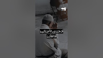 تلاوة من سورة الأنعام | القارئ محمد اللحيدان