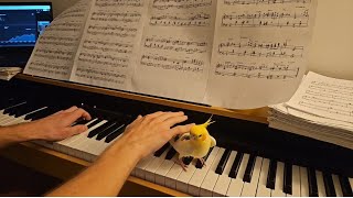 Practising the Piano Live