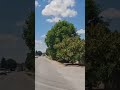 Минавам През Град Суворово 