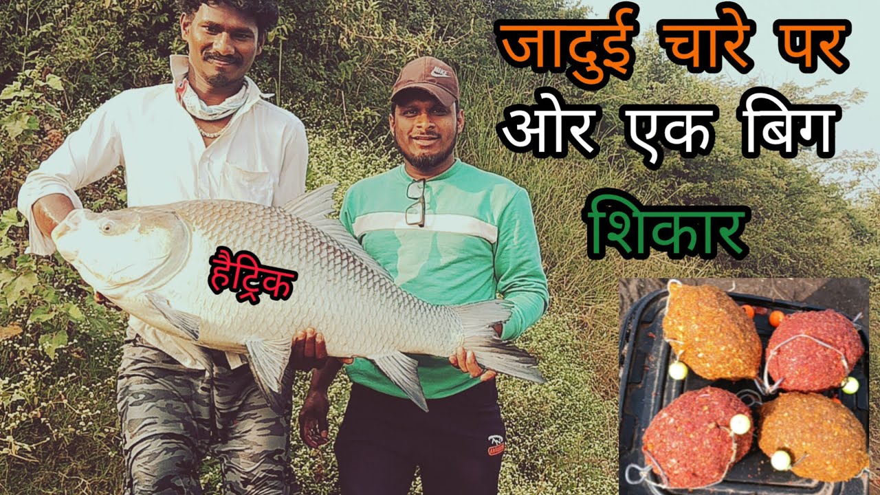 Lagatar tisra shikar hattrick jambo size katla #fishing #fish #carpfishing 