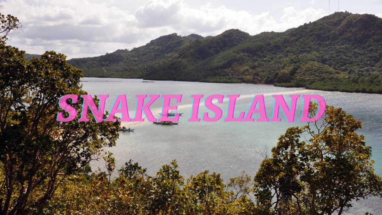 snake island brazil ।। ilha de queimada grande snake island ।। - YouTube