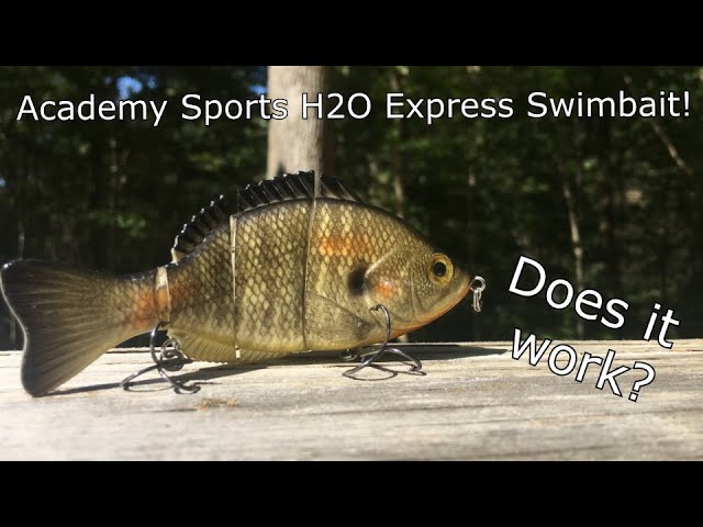 Academy Sports Jointed Swimbait!! Does it work??? 