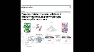 590-PHNToM: Inference of Oncogene Mutation Function Profile