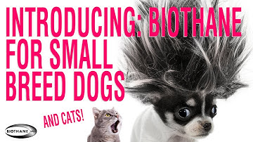 Introducing: BioThane for Small Breed Dogs!