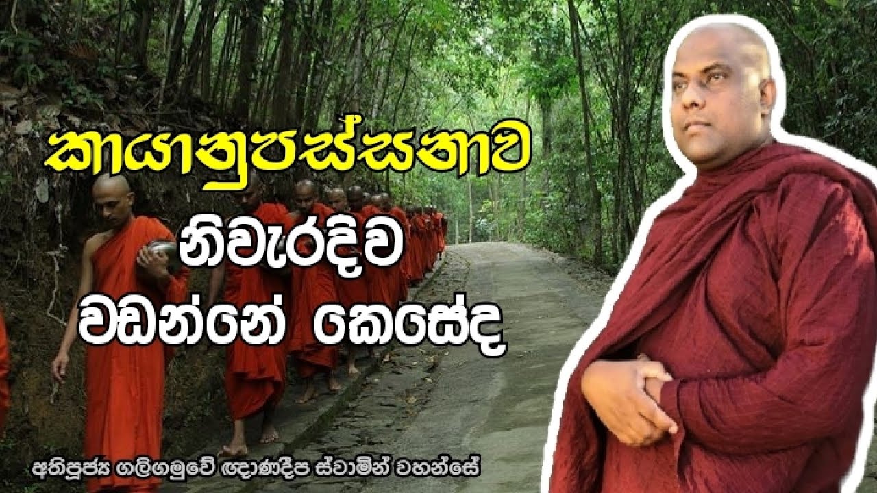 කායානුපස්සනාව නිවැරදිව වඩන්නේ කෙසේද | galigamuwe gnanadeepa thero | dharma pradeepaya