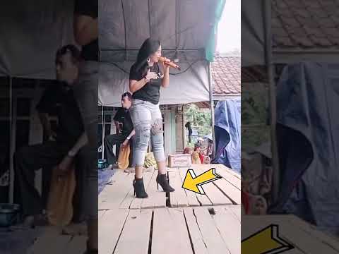 Video: Ini Mungkin Cara Terbaik untuk Menghiburkan Anjing Bosan pada Hari Hujan