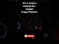 1 раз в Poppy Playtime Chapter 1