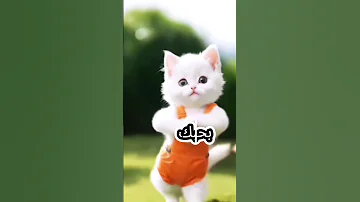 تسنيم يا قمر اغنيه باسم تسنيم 