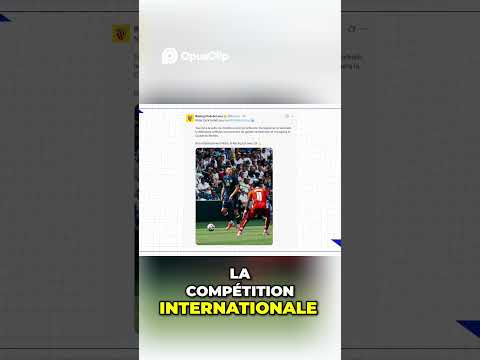 Coupe du Monde : Dragon Défenseur Nidal Chalik Forfait!
