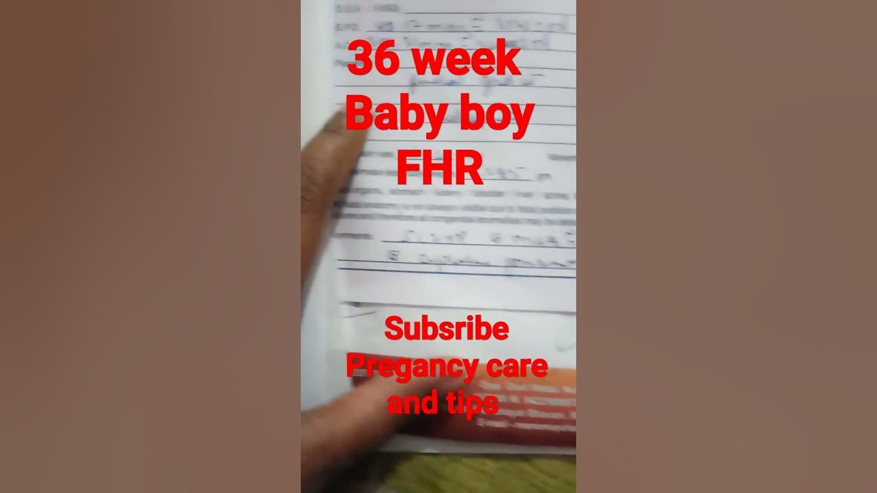 36 week baby boy FHR in ultrasound YouTube