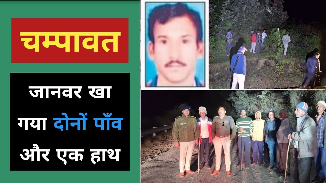 चम्पावत : जंगल गए थे काम को भुवन, फिर न लौटे | Champawat Lohaghat Mangoli Gav bhuvan ram Guldar 