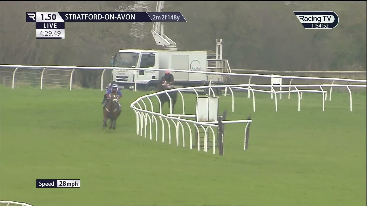 Swift Hawk a Tribute