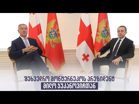 შეხვედრა მონტენეგროს პრეზიდენტ მილო ჯუკანოვიჩთან