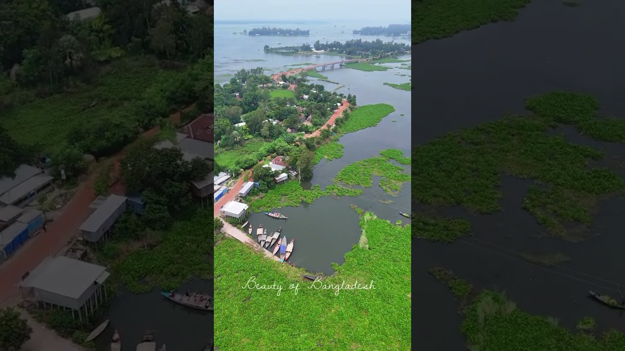 বাংলাদেশের ভাসমান গ্রাম 🌿🌊 | চলনবিল নাটোর ও সিরাজগঞ্জ | Floating Village | #shorts