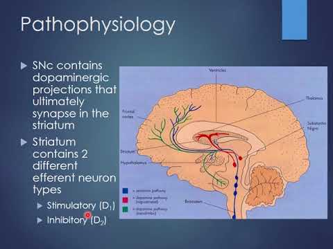 Videó: Az N - [2 - [[2- [2 - [(2,6-diklór-fenil) -amino] -fenil] -acetil] -oxi] -etil] -hialuronamid (diklofenak Etalhyaluronate, SI-613), Egy új, 