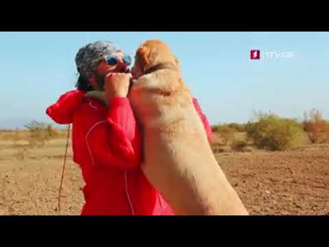 „ფერმა“ - ქართული ხილის გზა ევროპულ ბაზრამდე, დავით სამსონიძე / David Samsonidze