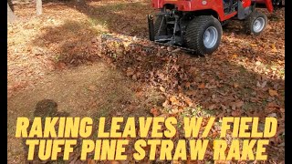 Using A 3 Point Pine Straw Rake To Rake Leaves