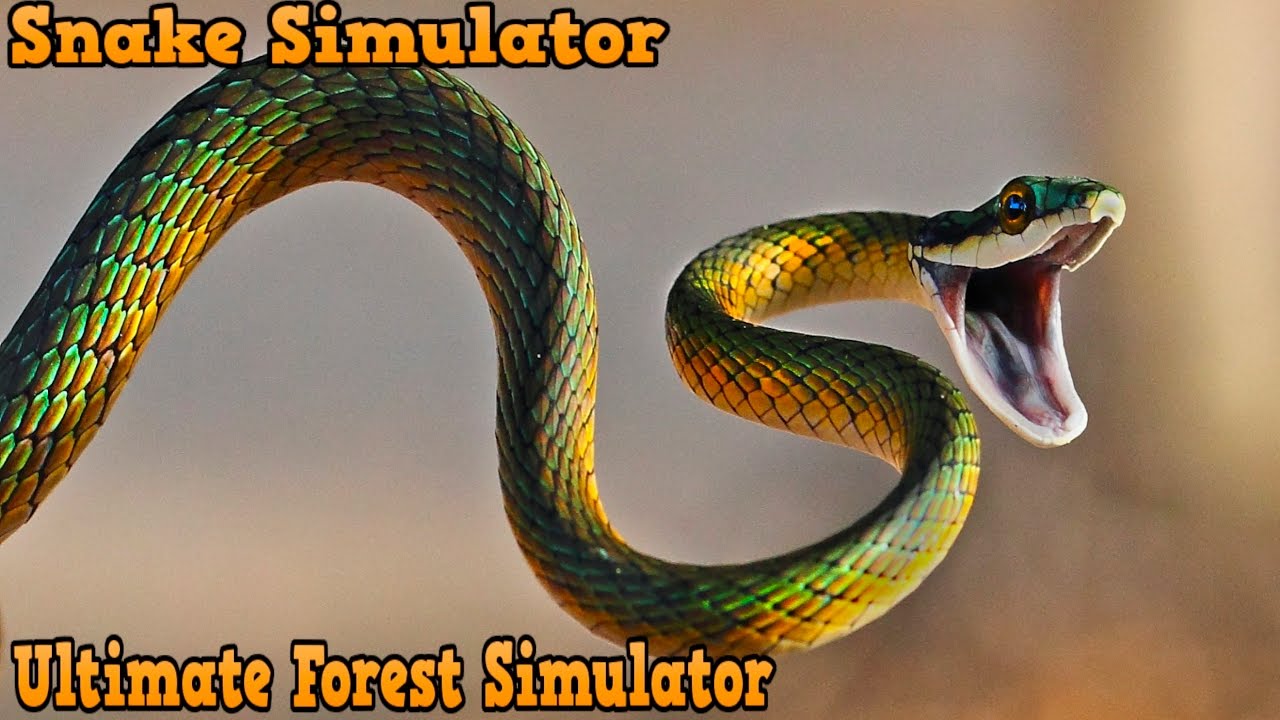 Snake Simulator - Apps on Google Play