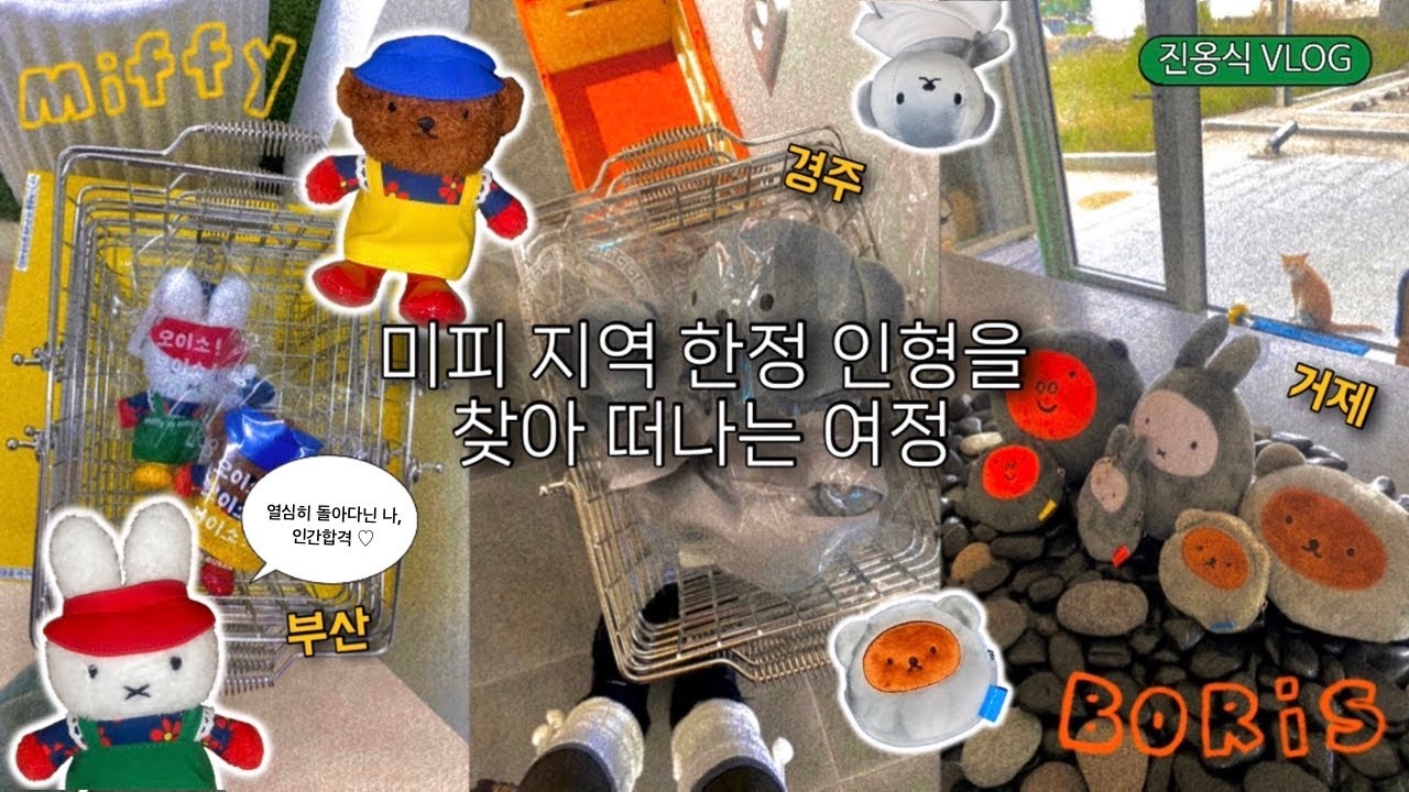 미피 지역한정 인형을 찾아 떠나는 여정 ₍ᐢ. ̫.ᐢ₎っ⌁❤︎⌁⋆ | 부산 자갈치 • 경주 석굴암 • 거제 몽돌 miffy boris 🧸