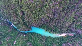 Relaxing Amazon rainforest - Relaxing Video