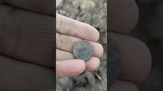 1/2 копійки щойно із землі #metaldetecting #metaldetector #находкисметаллоискателем #coin
