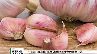 Sen wer gi yaram 332: Les nombreuses vertus de l'ail