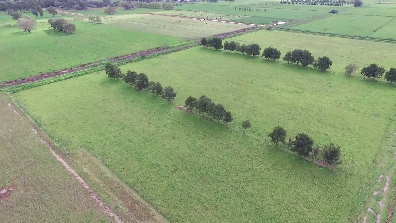 Goulburn Valley Dairy Farm Tongala YouTube