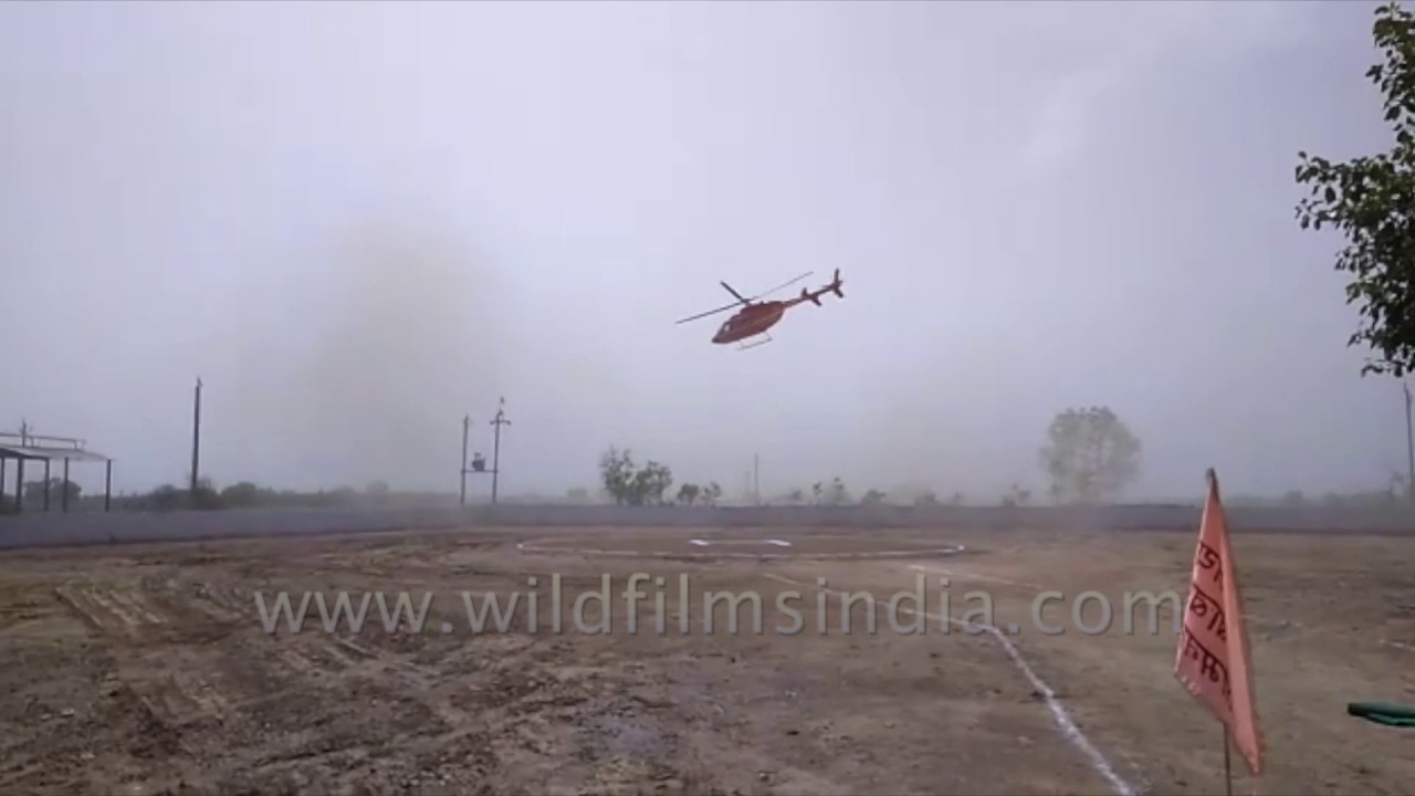 tibetan terrier Indian politician has close shave as helicopter goes crazy