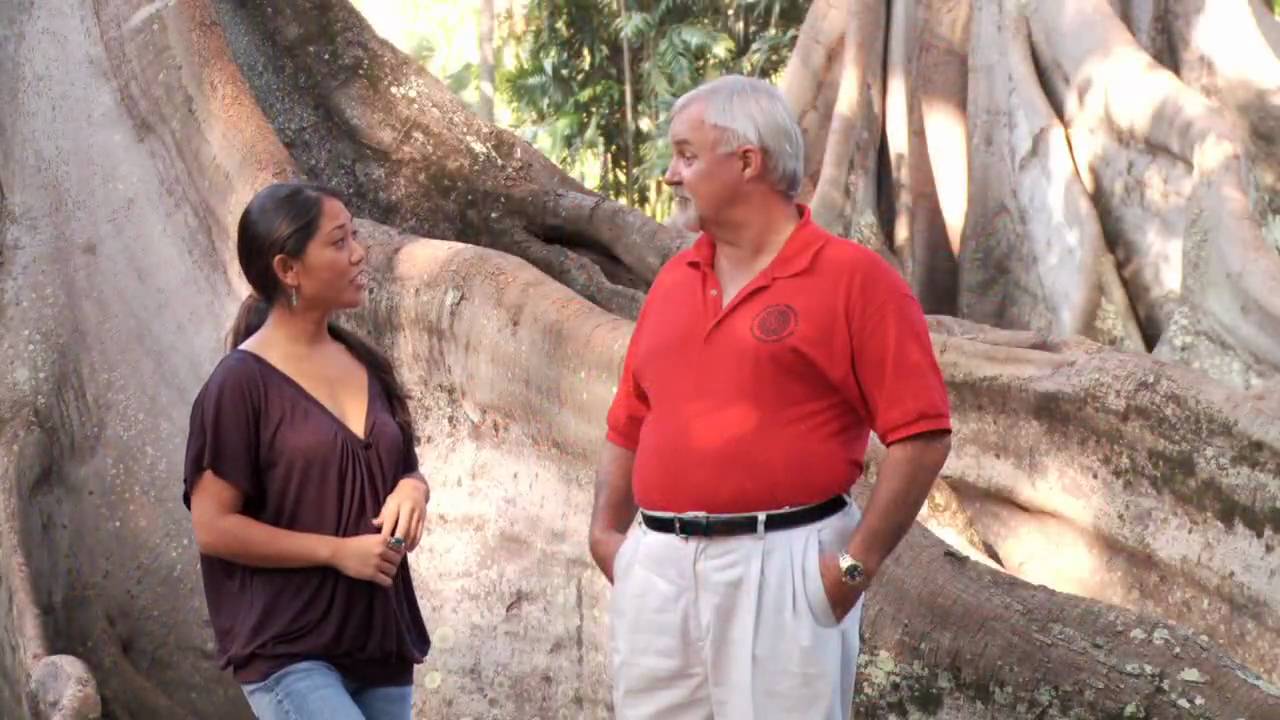 National Tropical Botanical Garden - Allerton McBryde Spotlight - KVIC-TV, myKauai.com [Activity]