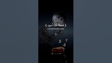قران كريم #عبدالرحمن_مسعد #تلاوة_خاشعة #قرآن #راحة_نفسية #اكتب_شي_تؤجر_عليه