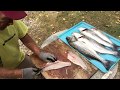 How To Fillet A Striped Bass The Old Fisherman's Way