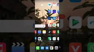 Android 10 for huawei p10 screenshot 5