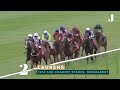 Heroines of the Bet365 Fillies Mile at Newmarket!
