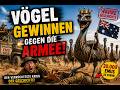 VÖGEL GEWINNEN GEGEN DIE ARMEE!!!