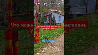 Краснодарский край, Туапсе. Показываю, что можно купить. Халява налетай😂