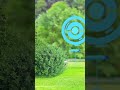 👀 #PokemonGO