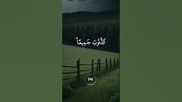 ماهر المعيقلي - سورة الزمر - تلاوة خاشعة