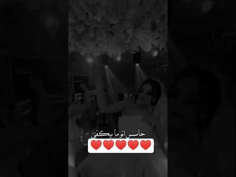 واشم اسمك ع كتفي لايك حالات اشتراك Explore زيادة متابعين دعم فولو استوري اغاني زياده المشاهدات 