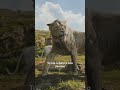 Mufasa: Il Re Leone | Prima di Scar...c'era Taka
