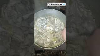 Попробовали бы? #fish