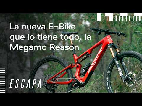 Everything you need to know about the new Megamo REASON 😉 - video from Retto