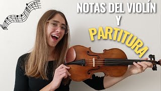 🎼Todas las NOTAS en el VIOLÍN y Cómo Leer PARTITURAS [Muy Fácil]