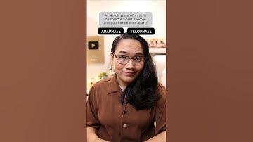 What are the stages of mitosis? #learnwithlyqa #teamlyqa #superscience #science #biology