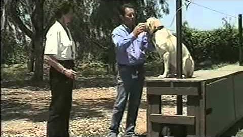 CanadaPets Video Series - Tri Tronics Hold Command for Bird Dogs Part 5 of 6